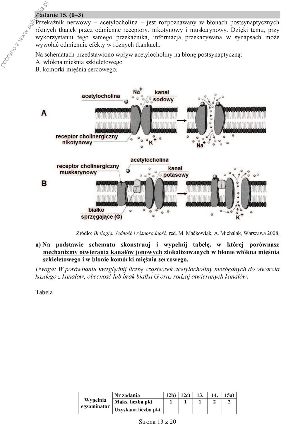 Na schematach przedstawiono wpływ acetylocholiny na błonę postsynaptyczną: A. włókna mięśnia szkieletowego B. komórki mięśnia sercowego. Źródło: Biologia. Jedność i różnorodność, red. M. Maćkowiak, A.