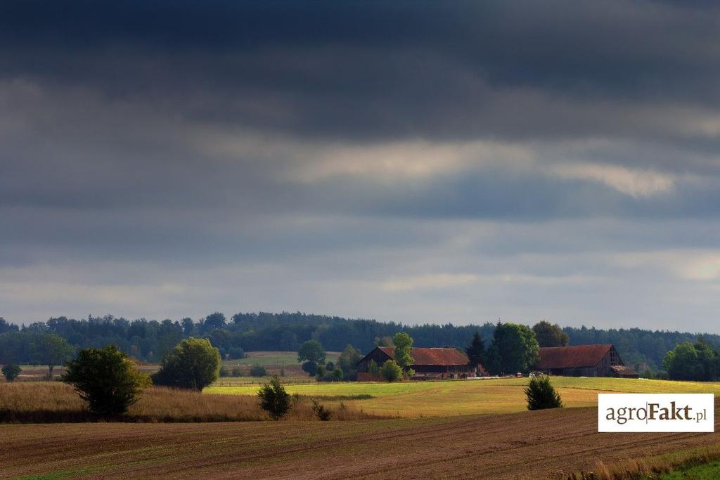 .pl https://www..pl Powojenni właściciele gruntów rolnych i ich spadkobiercy nie muszą się obawiać o swoją ziemię i majątek.